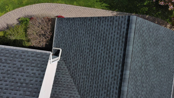 Best Roof Inspection  in Coleman, MI